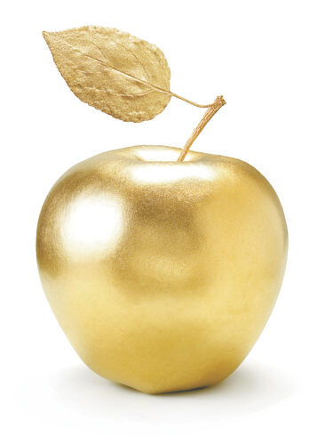10 West Zone teachers among Golden Apple Finalists